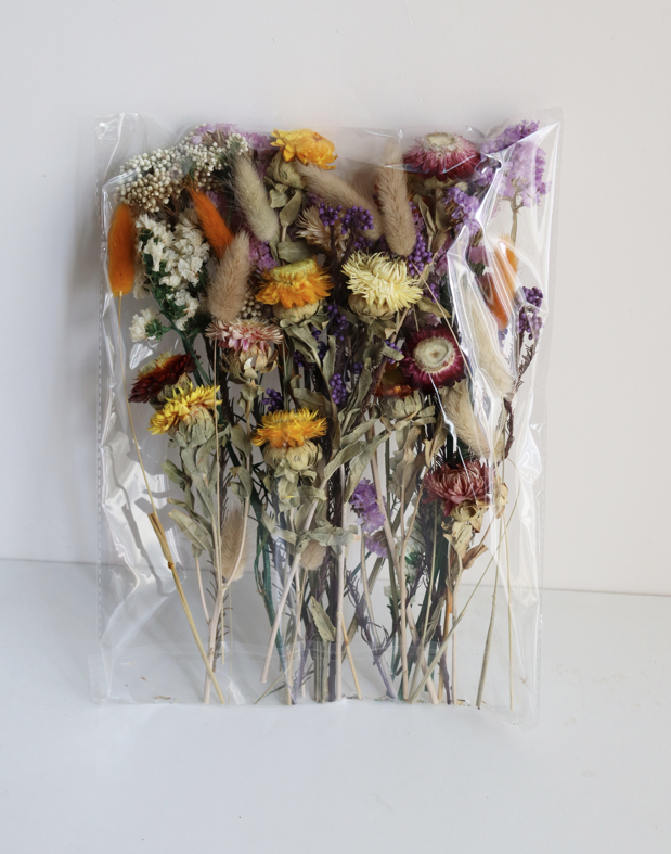 Dried Organic Wildflower DIY Craft kit with preserved wildflowers and twine to create your own bouquet, jewelry, soap making